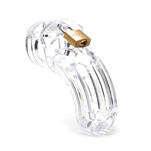 The Curve Chastity Device