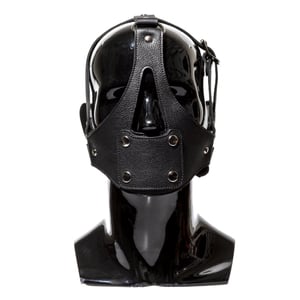 Leather Head Harness with Mouth Plate