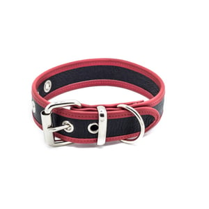 1.25" Soft Leather Collar with Red Trim